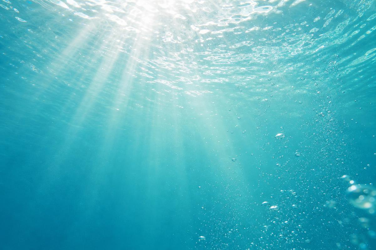 Superficie del agua vista desde abajo, con luz y burbujas